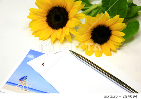手紙 ボールペン ひまわり 夏の写真素材
