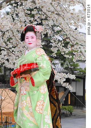 舞妓 芸妓 桜 女性の写真素材 - PIXTA