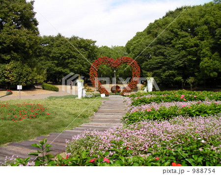 花の道 ハート 門 植物園の写真素材