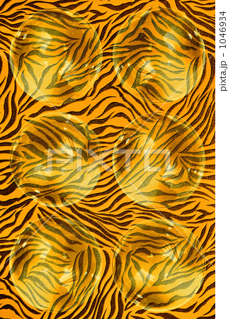10 アニマル柄 トラ柄 虎柄の写真素材