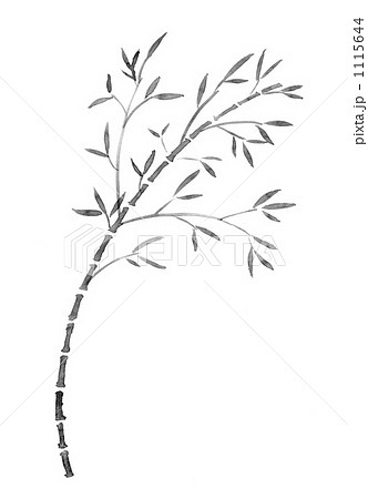 竹 モノクロ 植物 白黒のイラスト素材