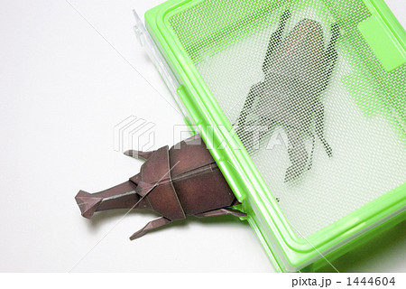 折り紙 カブトムシ クワガタムシ 虫かごの写真素材