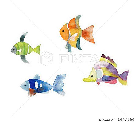 魚 イラスト 横向き 魚類の写真素材