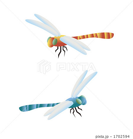 赤蜻蛉 虫 蜻蛉 赤とんぼのイラスト素材