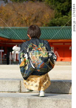 男の子 七五三 着物 後姿の写真素材