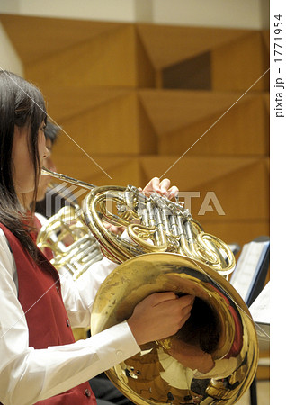 ホルン 金管楽器 吹奏楽 楽器の写真素材