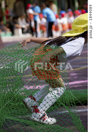 網 運動会 障害物競走 ネットの写真素材