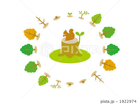 成長過程 植物 双葉のイラスト素材