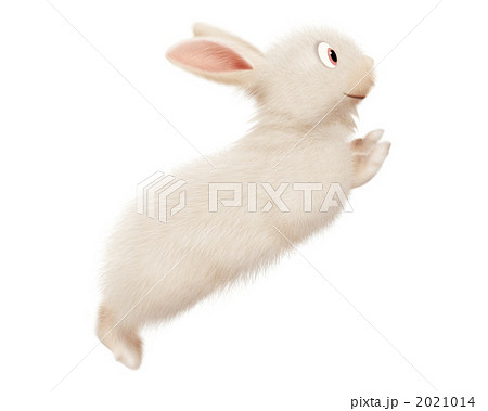 跳ぶ 小動物 うさぎ ジャンプの写真素材 Pixta