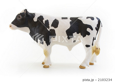 動物 牛 フィギュア ホルスタインの写真素材