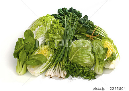 野菜 葉野菜 冬野菜 葉物の写真素材