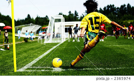サッカー スポーツ 後姿 球技の写真素材