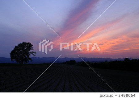 夕暮れ 夕日 壁紙 田園の写真素材