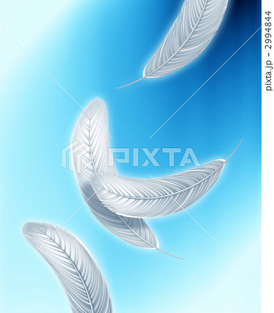 鳥の羽のイラスト素材