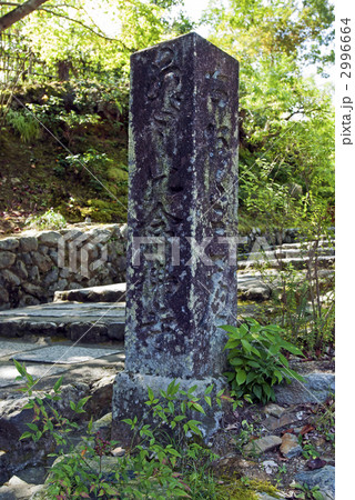 蓮台野 浄土宗の写真素材