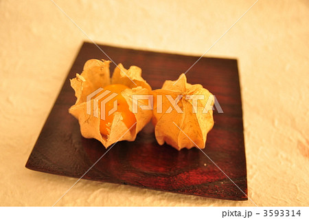 和紙状の殻 食用ほおずきの写真素材