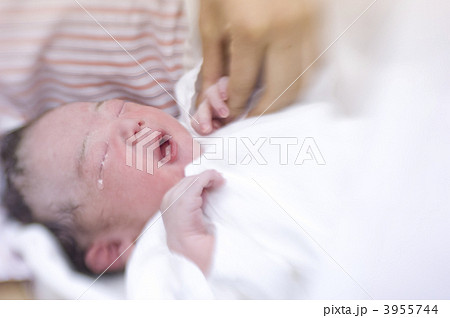 女の子 赤ちゃん 産声 誕生の写真素材