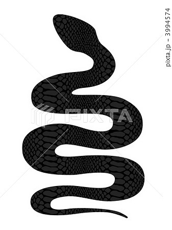 蛇 黒蛇 爬虫類 干支のイラスト素材