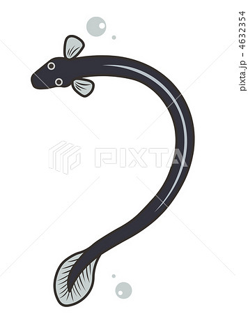 うなぎ イラスト 淡水魚 かわいいの写真素材