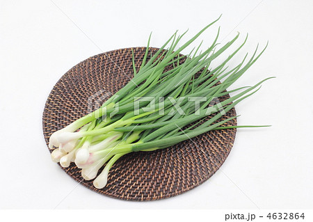 食べ物 野菜 香味野菜 一文字 食材の写真素材 Pixta