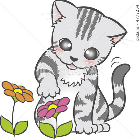猫 アメリカンショートヘアー 花のイラスト素材