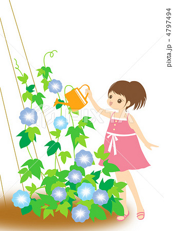 朝顔 水やり 女の子 花のイラスト素材
