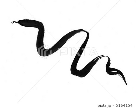 蛇 黒蛇 爬虫類 干支のイラスト素材