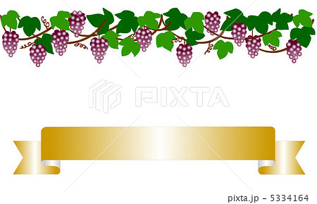 罫線 飾り罫 花罫 ブドウのイラスト素材 Pixta