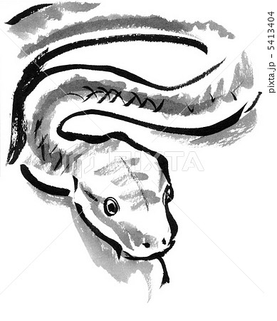 白蛇 蛇 ヘビ 白背景のイラスト素材