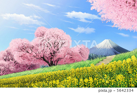 花 桜 サクラ 菜の花のイラスト素材