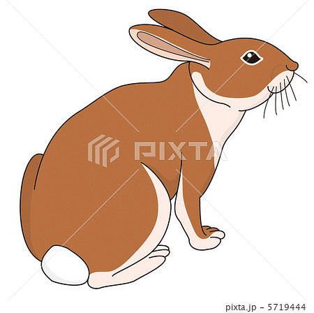 エトのイラスト素材