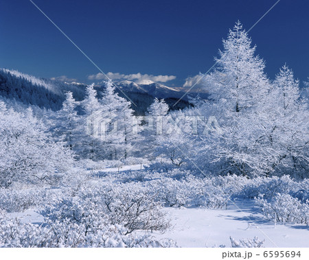 雪景色 雪 冬景色 美ヶ原高原の写真素材