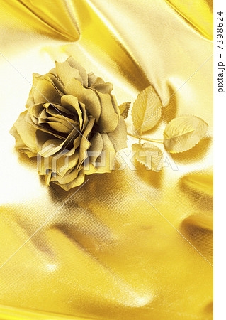 金のバラ no1の写真素材 - PIXTA