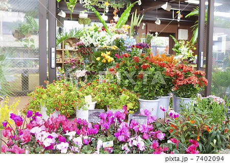 フラワーショップ 花屋 正面 外観の写真素材