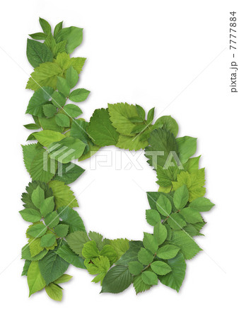 小文字 葉 葉っぱ 英語の写真素材