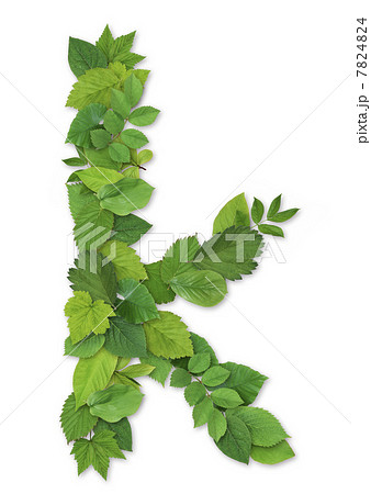 小文字 葉 葉っぱ 英語の写真素材