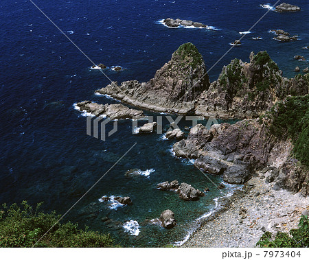 野間海岸の写真素材