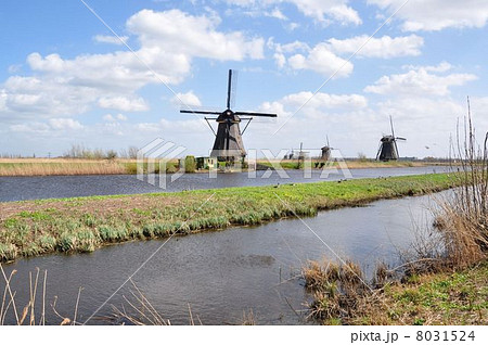 干拓地 ヨーロッパ ポルダー オランダの写真素材