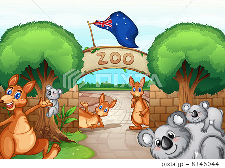 ゲート 門 動物園 オーストラリアのイラスト素材