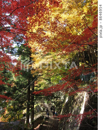 鳳来寺山 紅葉の写真素材