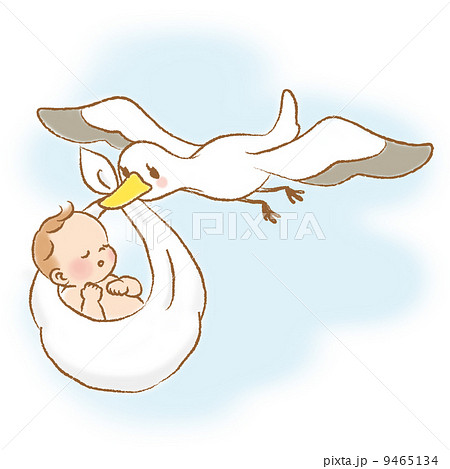 妊娠 コウノトリ 赤ちゃん 出産のイラスト素材