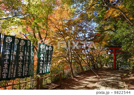 鳳来寺山 紅葉の写真素材