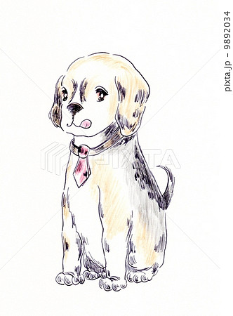 犬 横目のイラスト素材