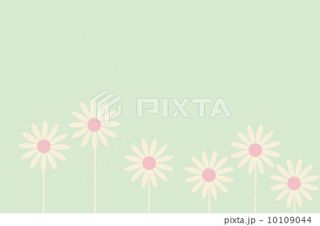 花柄 壁紙 デイジー柄 ピンク 可愛い花 カード 背景の写真素材