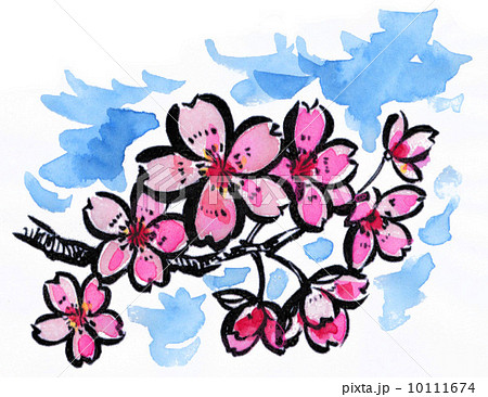 花 明るい イラスト ピンク色 春 絵手紙風の写真素材
