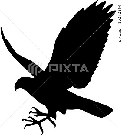 ハヤブサ 鳥のイラスト素材 Pixta