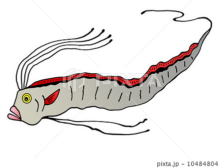 リュウグウノツカイのイラスト素材