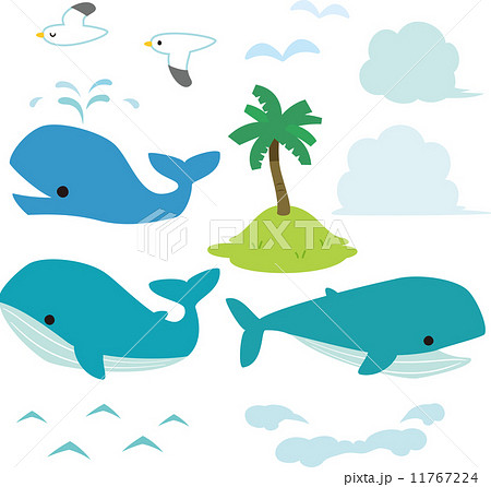 潮 鯨 クジラ イラストのイラスト素材