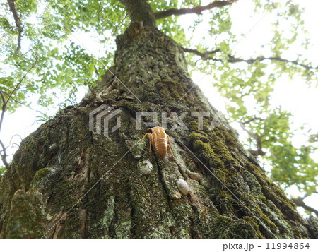 遠い道のりの写真素材