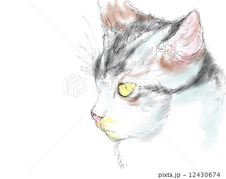猫 横顔 水彩 一匹のイラスト素材